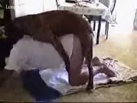 Dog fucks her gay beastiality owner